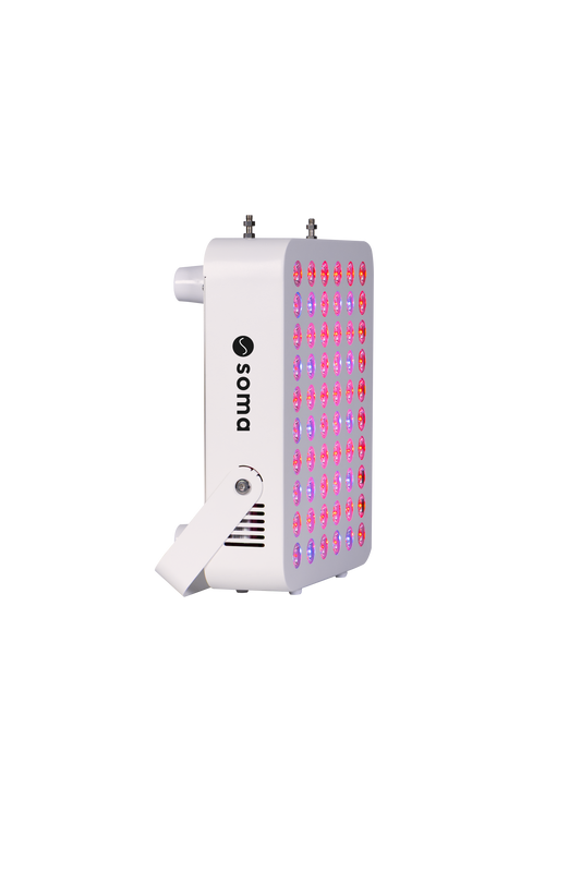 Bloom Mini