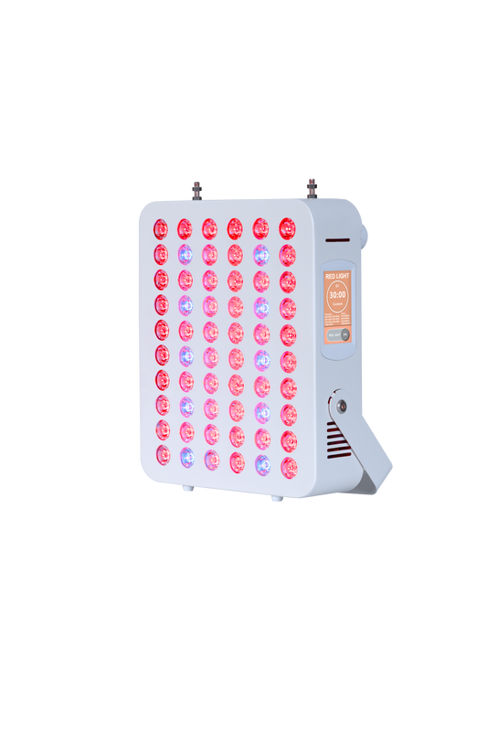 Bloom Mini